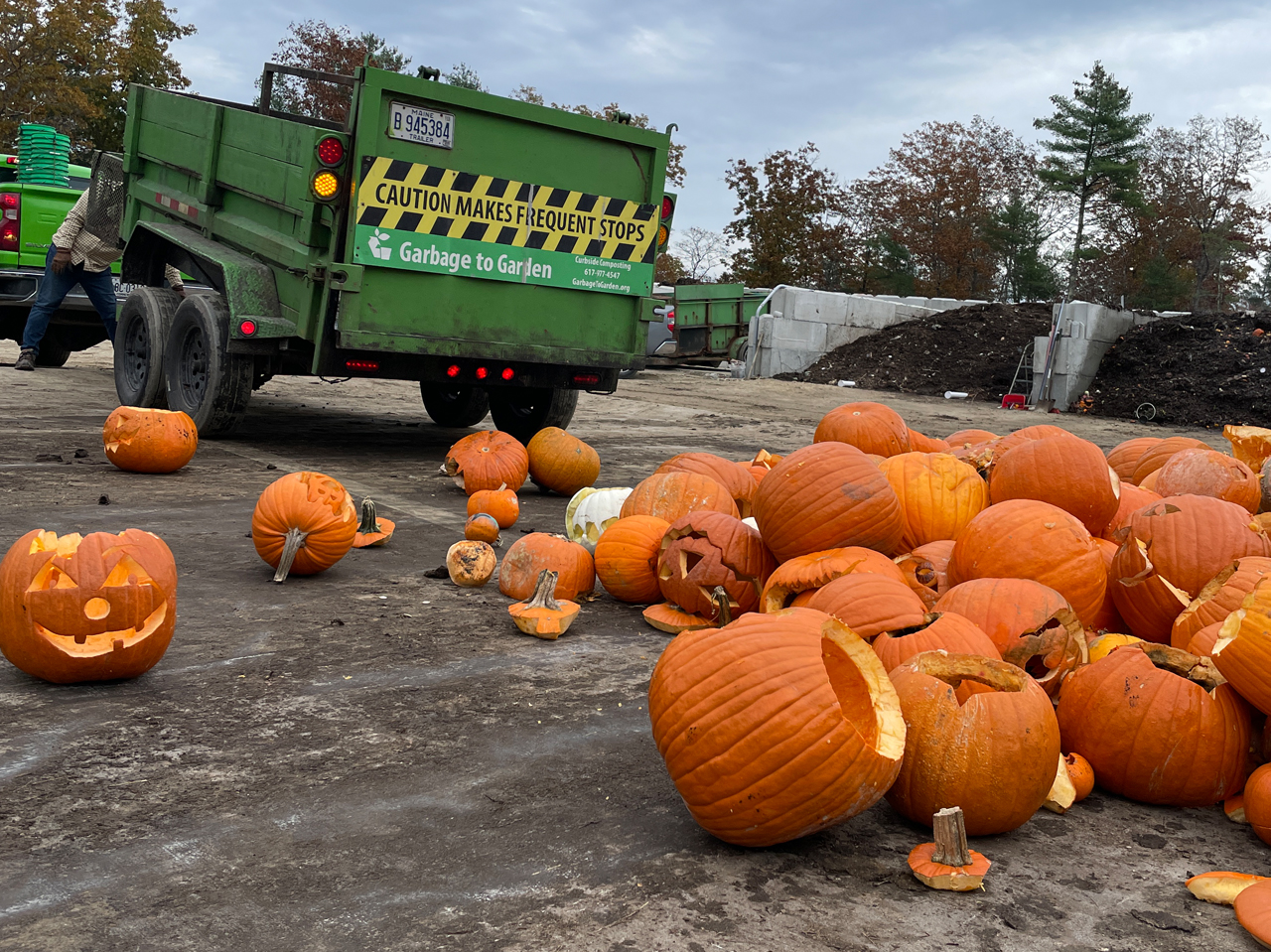 Pumpkins for composting with Garbage to Garden